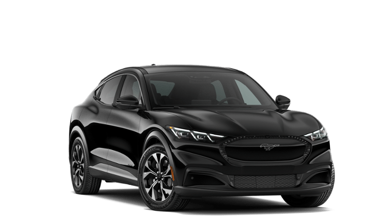 Mustang Mach-E® vehicle
